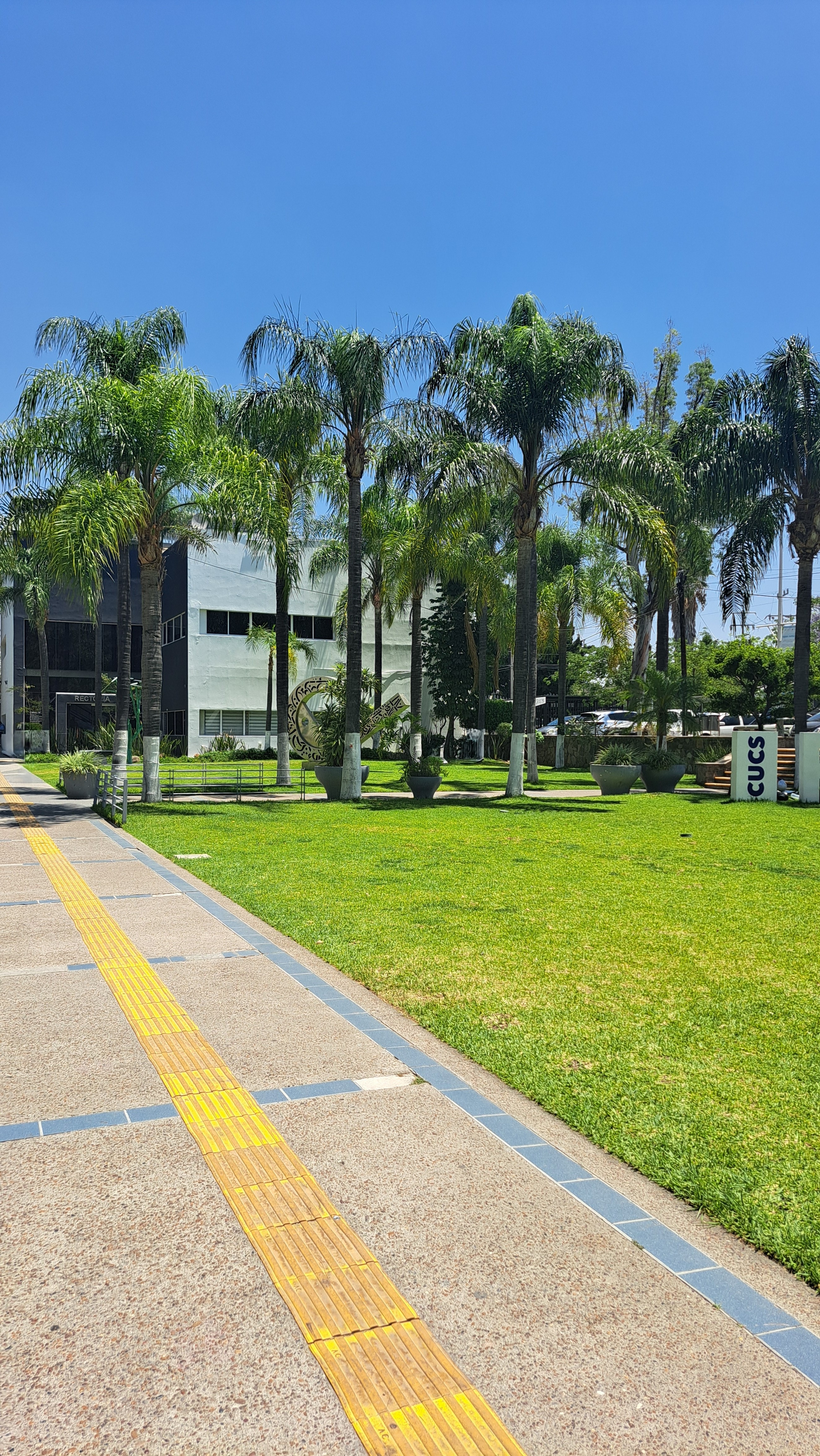 CUCS Universidad de Guadalajara